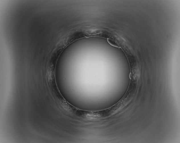 X0000116660515200912141323