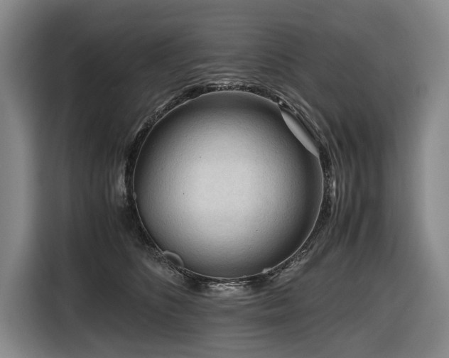 X0000116660516200912141323