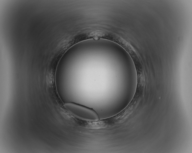 X0000116660517200912141323