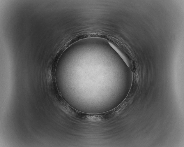 X0000116660520200912141323