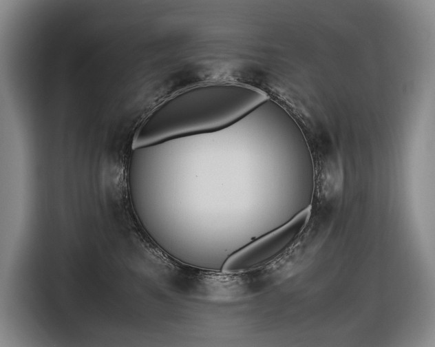 X0000116660521200912141323