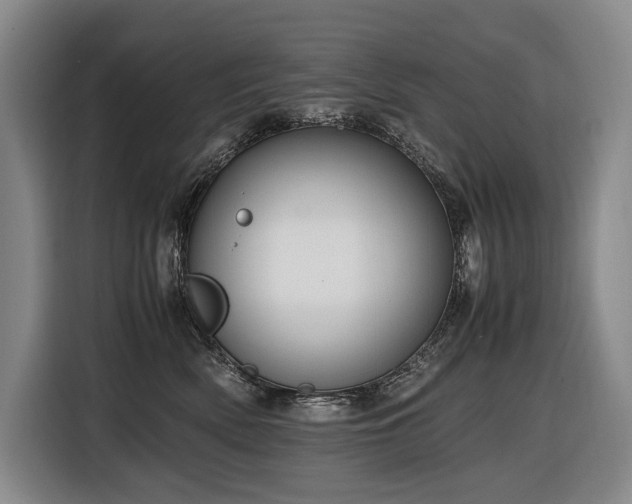 X0000116660522200912141323