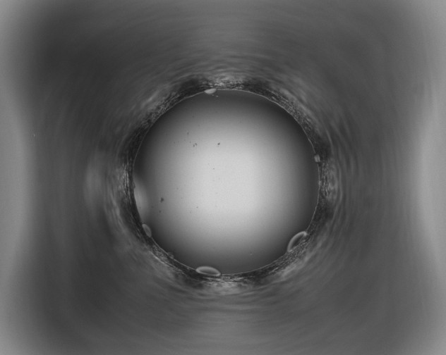 X0000116660523200912141323