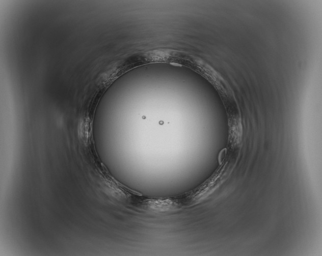 X0000116660525200912141323