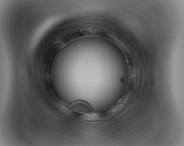 X0000116660526200912141323