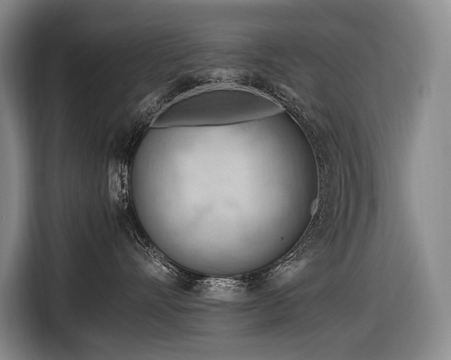 X0000116660528200912141323