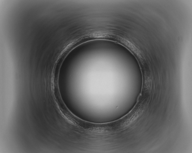 X0000116660530200912141322