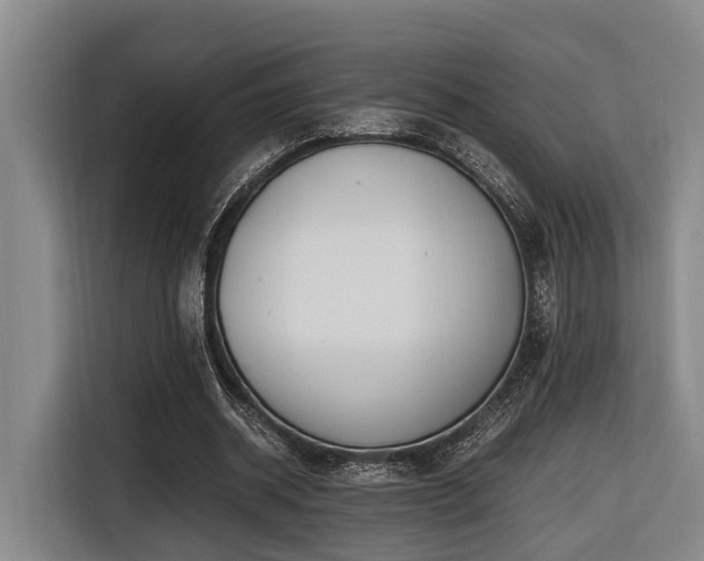 X0000116660534200912141322