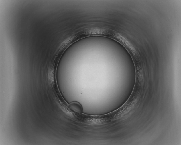 X0000116660537200912141322