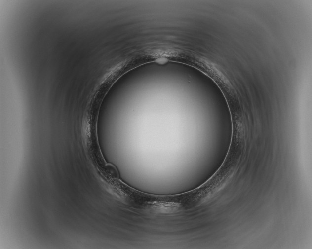 X0000116660539200912141322