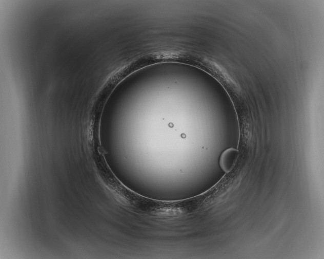 X0000116660543200912141322