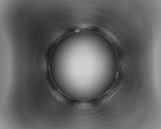 X0000116660546200912141322