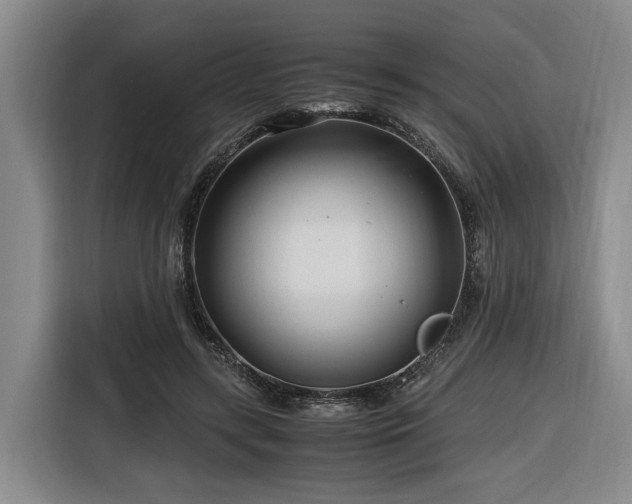 X0000116660547200912141322