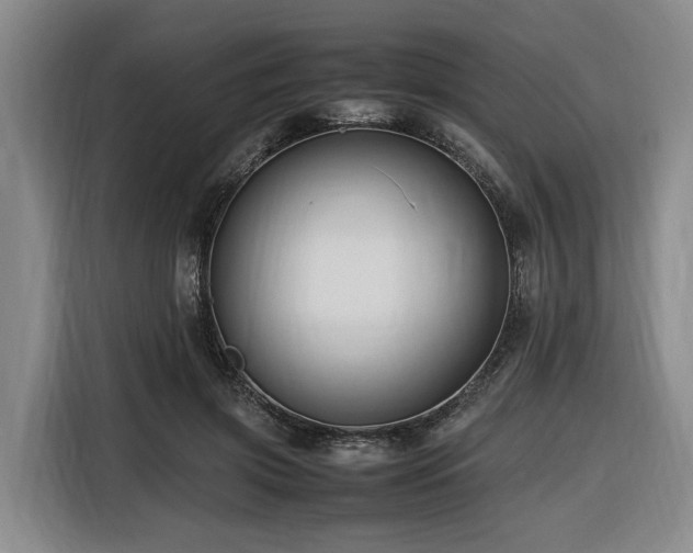 X0000116660549200912141322