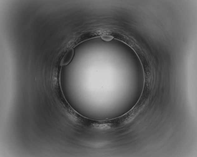 X0000116660553200912141323