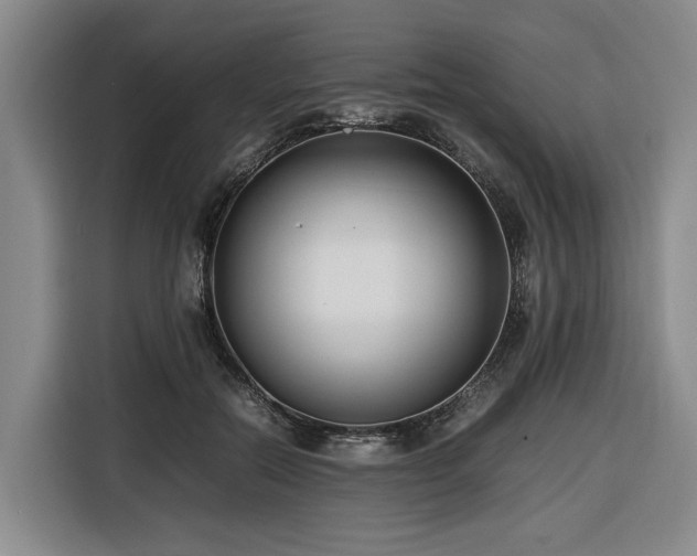 X0000116660554200912141323