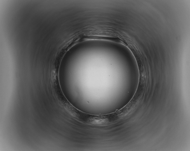 X0000116660555200912141323