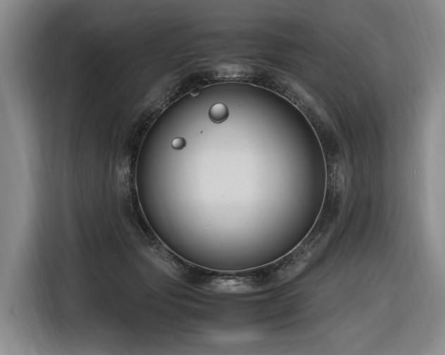 X0000116660557200912141323