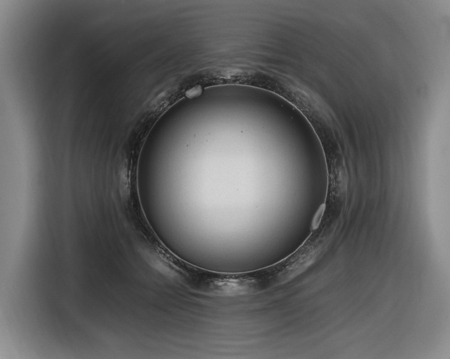 X0000116660558200912141323