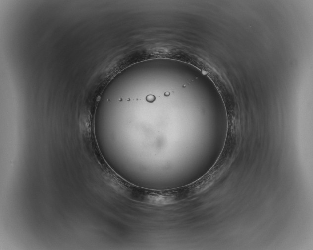 X0000116660561200912141323