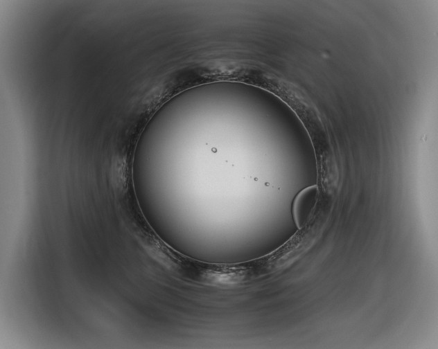 X0000116660563200912141323