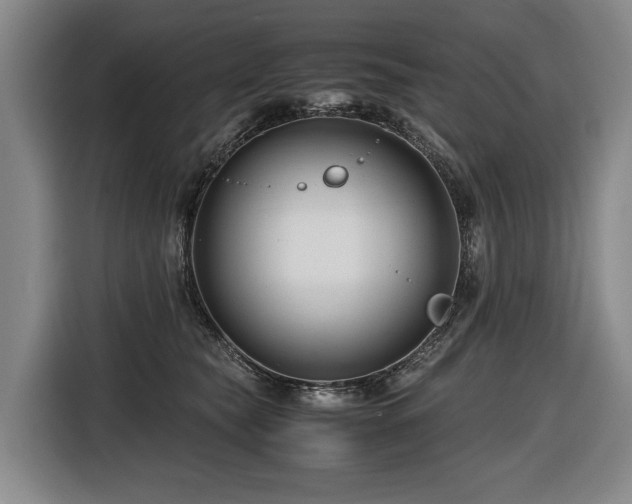 X0000116660565200912141323