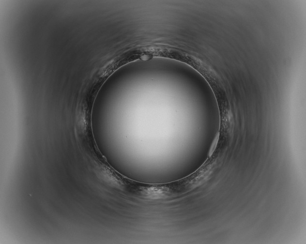 X0000116660566200912141323