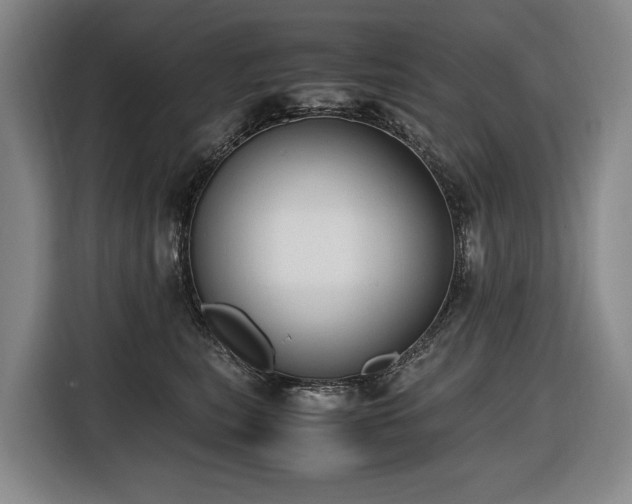 X0000116660567200912141323