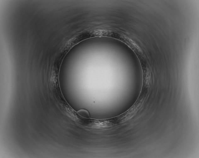 X0000116660569200912141323