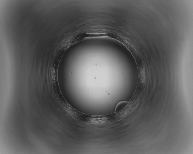 X0000116660571200912141323