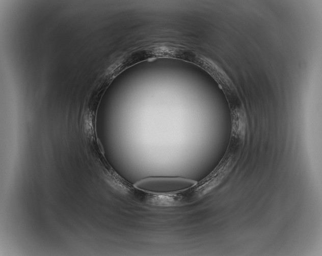 X0000116660573200912141323