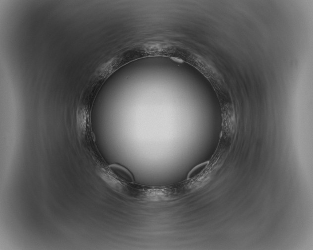 X0000116660574200912141323