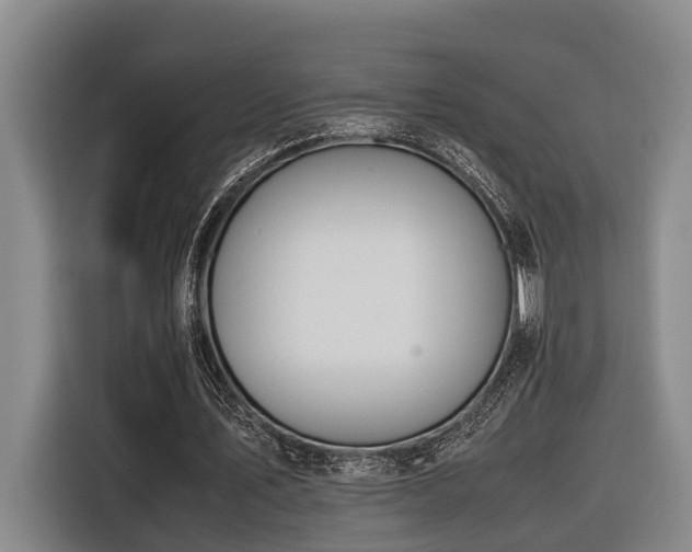 X0000116660579200912141322