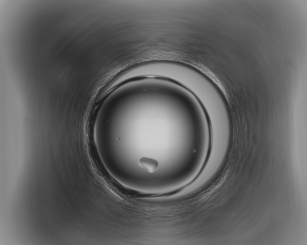 X0000116660581200912141322