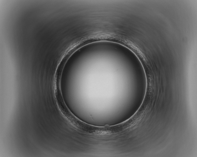 X0000116660582200912141322