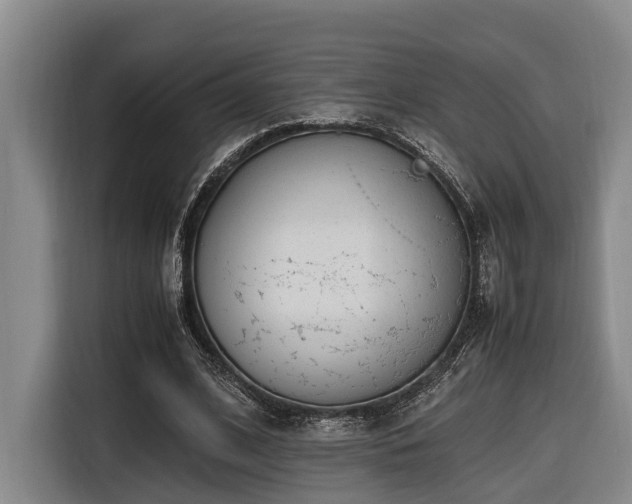 X0000116660584200912141322