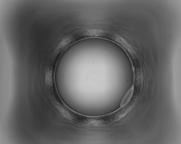 X0000116660585200912141322