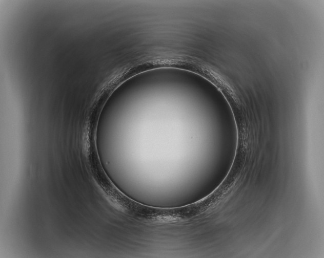 X0000116660586200912141322