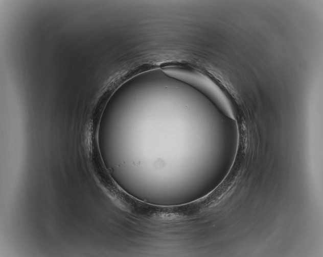 X0000116660590200912141322