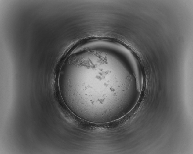 X0000116660592200912141322