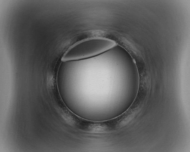 X0000116660597200912141322