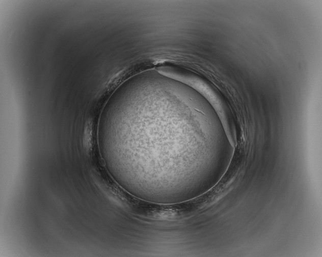 X0000116660600200912141322