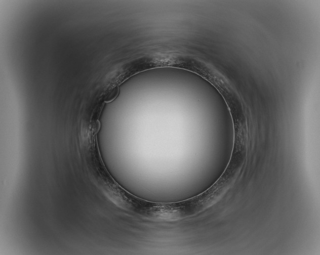 X0000116660601200912141322