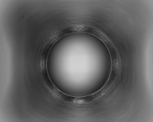 X0000116660602200912141322