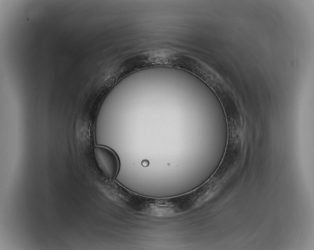 X0000116660603200912141322