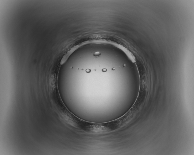 X0000116660605200912141322