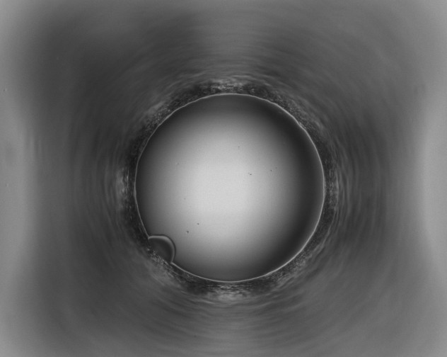 X0000116660608200912141322