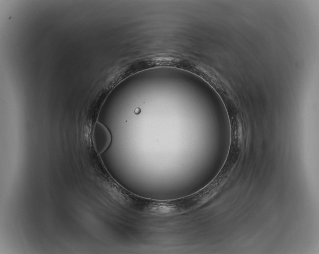 X0000116660610200912141322