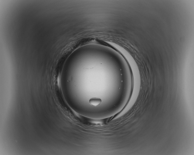 X0000116660611200912141322