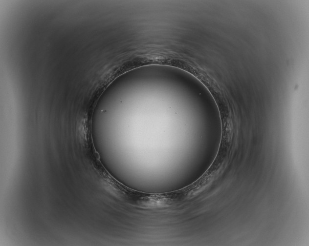 X0000116660612200912141322